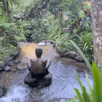 La Bali mistica Cerimoniale hindu di purificazione
